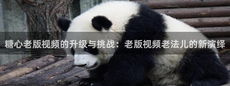 糖心vlog播放：糖心老版视频的升级与挑战：老版视频老法儿的新演绎