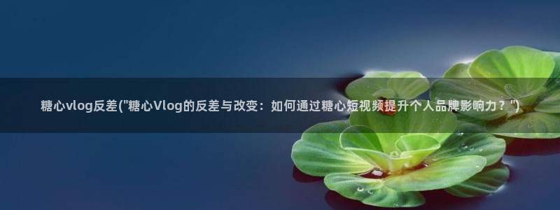 正能量糖心vlog