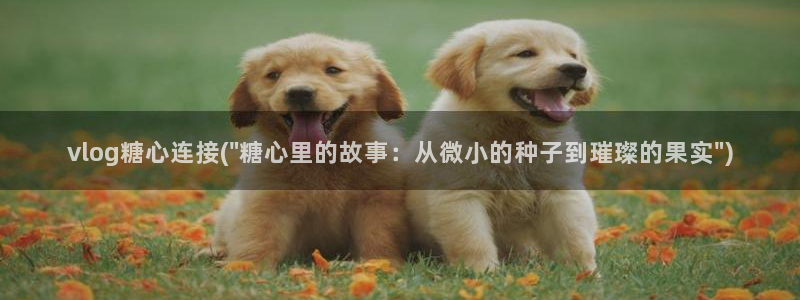 糖心vlog入口在哪：vlog糖心连接(\