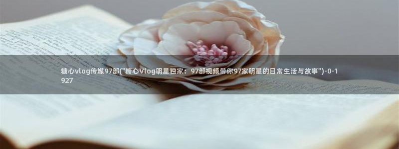 糖心vlog所有作品