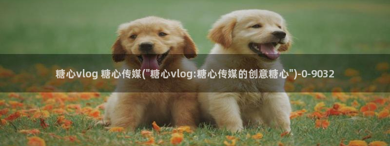 桃花堂糖心vlog：糖心vlog 糖心传媒(\