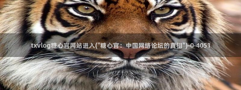 该看糖心vlog了：txvlog糖心官网站进入(\