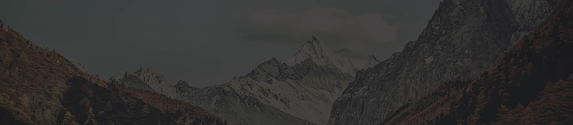 糖心vlog在线观看糖心