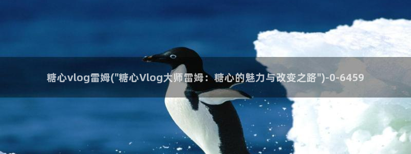 糖心vlog2.2