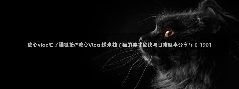 糖心vlog多乙白嫩多：糖心vlog柚子猫链接(\