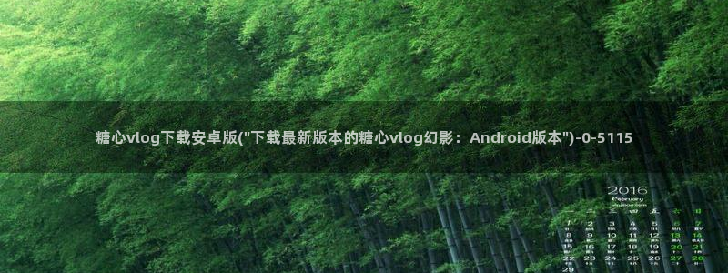 糖心vlog新入口