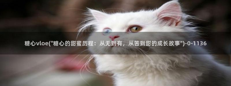 糖心vlog免