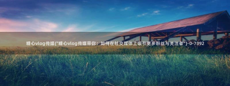 糖心vlog免费破解