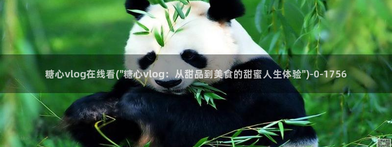 糖心vlog百度网盘