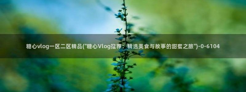 糖心vlog糖