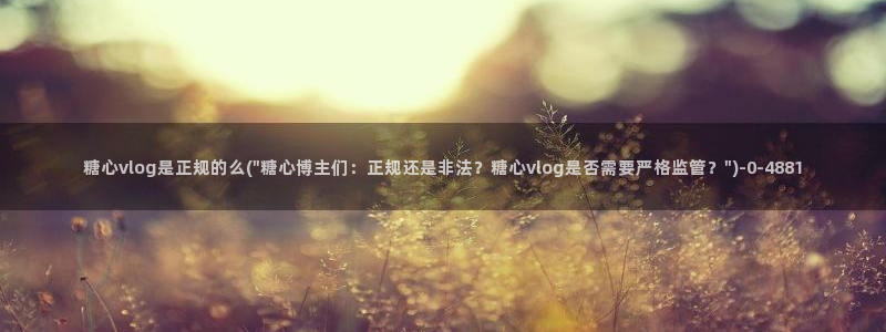 糖心vlog视频官网