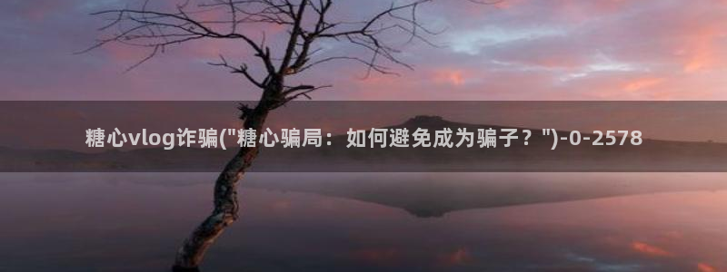 糖心vlog许木学长